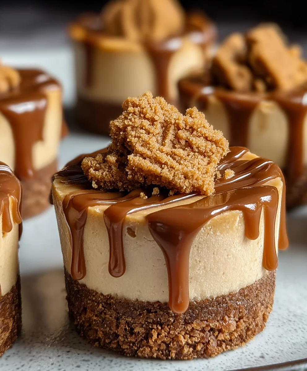 Delicious Biscoff Mini Cheesecakes - Easy No-Bake Recipe!